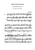 N. Paganini - Andante Innocentemente from Sonata - Clarinet in Bb and Piano