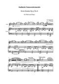N. Paganini - Andante Innocentemente from Sonata - Flute and Piano